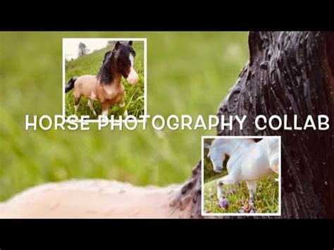 breyer photography collab horse crazy youtube