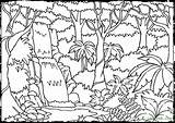 Rainforest Tree Drawing Coloring Pages Forest Scene Getdrawings sketch template