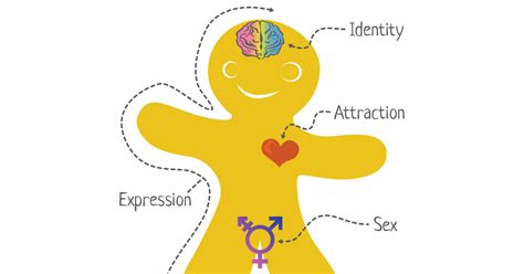the genderbread person a free online resource for understanding