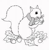 Colouring Autumn Squirrel sketch template