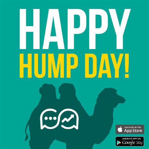 Happy Hump Day Everyone 🐫🐪 Stay Connected With Followchats The