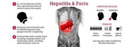 Hepatitis A Causes Symptoms Treatmentsandprevention