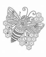 Coloring Honey Biene Bees Bienen Ausmalbild Zentangle sketch template