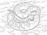 Python Snakes Parentune Clipartmag sketch template