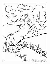 Coloring Horse Pages Easy Kids Country Rearing Printables sketch template
