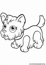 Desenhos Colorir Coloriage Fofos Cachorrinhos Highlander Birma Cachorro Dibujo Dalmata Desenhosparacolorir Stampaecolora sketch template