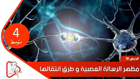 ‫الدرس 18 مظهر الرسالة العصبية و طرق انتقالها الأستاذ