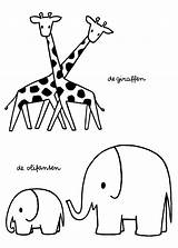 Kleurplaten Giraffen Kleurplaat Olifanten Dierentuin Bruna Peuters Dieren Tekening Paradijs Peuter Nijntje Giraf Silhouet Bord Uitprinten Downloaden Bezoeken Giraffe sketch template