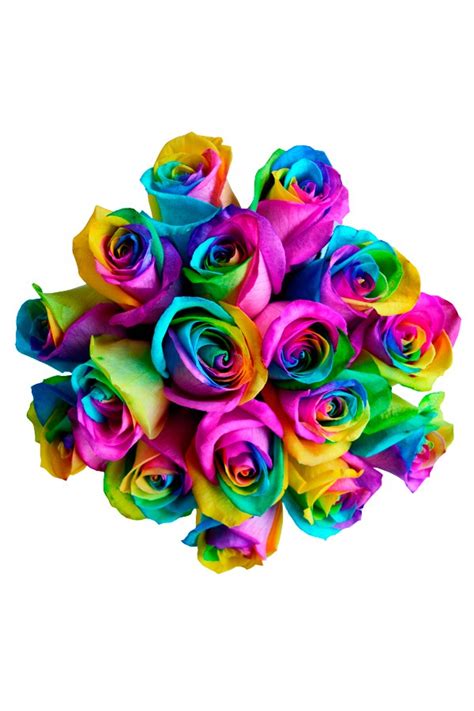 rainbow roses pike place flowers