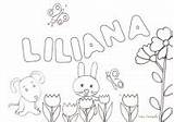 Liliana sketch template