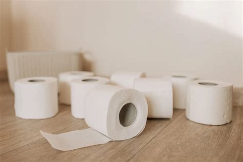 toilet paper rolls   storables