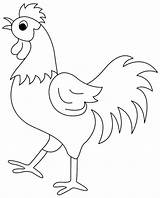 Rooster Coloring Pages Printable Colouring Popular Kids Coloringhome sketch template