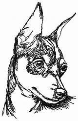 Pinscher Miniature Drawing Mini Dog Pincher Desenho Cachorro Min Dogs Perro Zwergpinscher Quilts Drawings Animal Getdrawings Sketches Breeds Ideias Doberman sketch template
