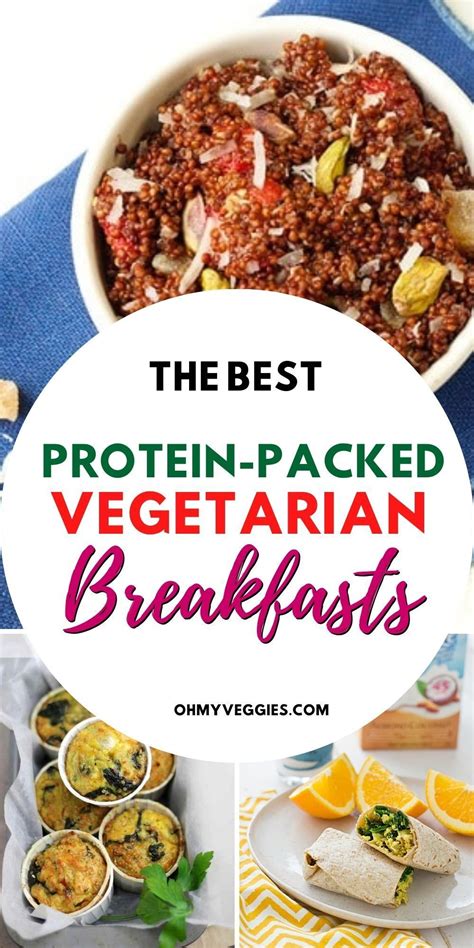 protein protein pack vegetarian sandwich recipes vegan recipes