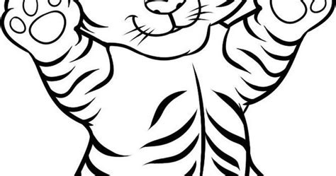 baby tiger  coloring pages png  file
