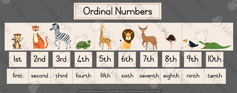 race ordinal numbers worksheet