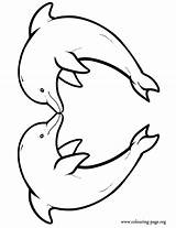 Dolphins Coloring Printable Pages Library Clipart sketch template