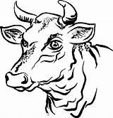 Coloring Pages Bull Animals Cow Cartoon Head Toros Taurus Carniceria Dibujos Drawing Farm Lizeth Abarrotes Printable Line Contour Cross Clipartbest sketch template