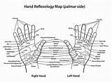 Reflexology Hand Chart Charts Massage Map Google Holistic Tom Living sketch template