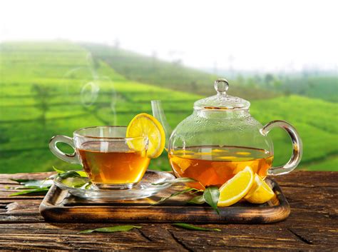 lemon depth  field teapot drink cup food tea  ultra hd