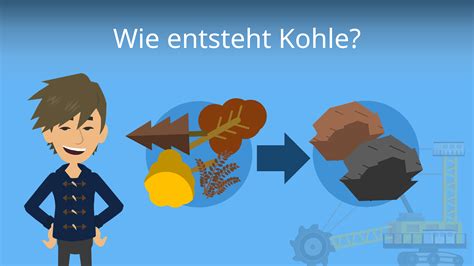 wie entsteht kohle steinkohle braunkohle mit video