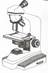 Microscope Drawing Cliparts Sketch Pencil Clipart Library Favorites Add sketch template