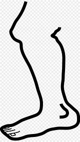 Leg Putih Hitam Kaki Kartun Pixabay Sketch sketch template