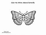 Coloring Admiral Butterfly sketch template