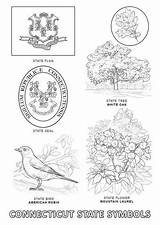 Connecticut Coloring State Symbols Pages Flag Printable Select Category Bird Supercoloring sketch template