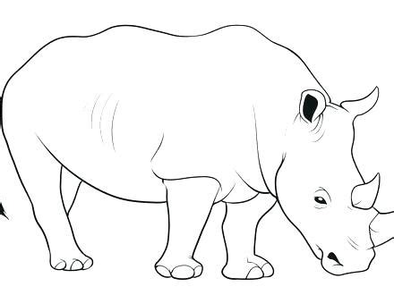 rhinoceros coloring pages  getcoloringscom  printable