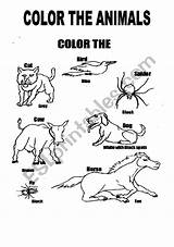 Coloring Animals English Worksheets Worksheet Preview Printable sketch template