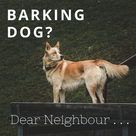 neighbor dog  barking