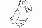 Adopt Toucan Colorir Ausmalbilder Underbelly Beady Colorare Disegni Tukan sketch template