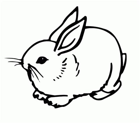 rabbit coloring pictures coloring home