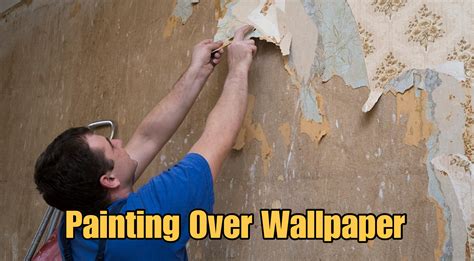paint  paint  wallpaper carrotapp