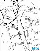 Apes Simios Hellokids Coloriage God Coloriages Sheets sketch template