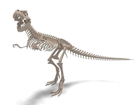 dinosour bones  dinosaurs alive dd edition review doblucom