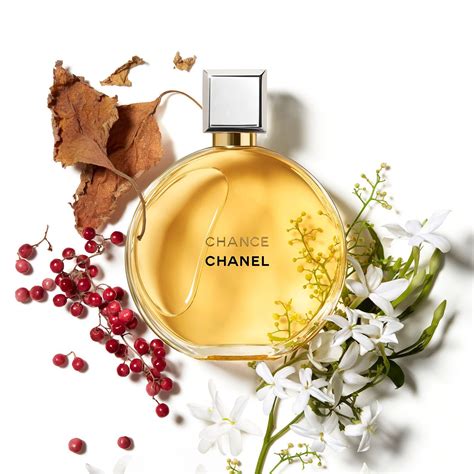 chance fragrance fragrance chanel perfume chanel perfumes importados perfume de mulher