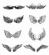 Vector Wings Alas Drawn Hand Set Vectors Vecteezy Clipground sketch template