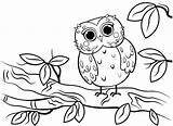 Owl Branches sketch template