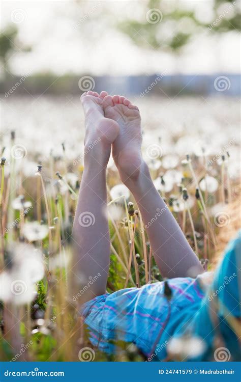 bare feet   dandelion field stock image image  rest relaxing