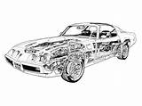 Pontiac Trans Am Firebird Drawing Cutaway Car 1980 Muscle 80s Tags Sports Cars sketch template