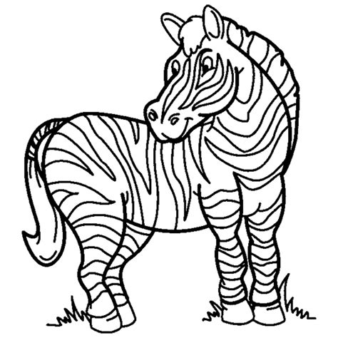 coloring  blog archive zebra coloring pages