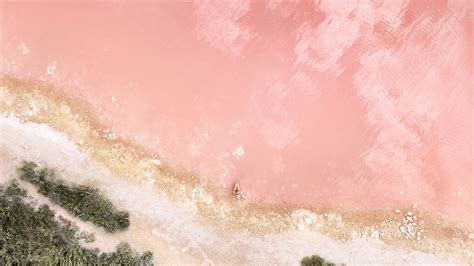 beach  wallpaper seashore baby pink aerial view ios