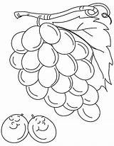 Coloring Grapes Pages Drawing Grape Sleeping Two Color Colorluna Embroidery Patterns Drawings Cute Luna Painting Kindergarten sketch template