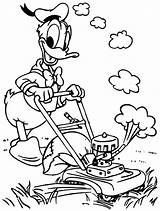 Coloring Pages Donald Duck Baby Daisy Getcolorings Printable sketch template