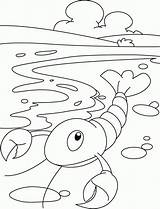 Lobster Kraby Raki Kolorowanki sketch template