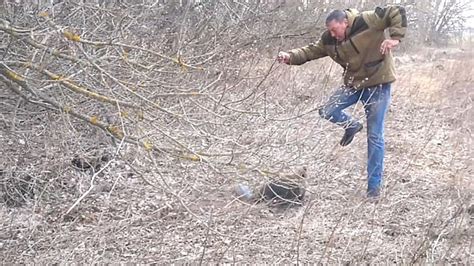 man tries to taunt an angry beaver with a stick somewhere near moscow