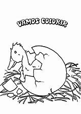 Broken Egg Duckling Coloring Pages sketch template