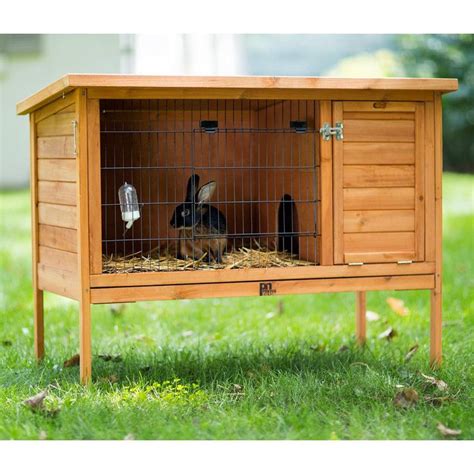 best 25 indoor rabbit cage ideas on pinterest indoor rabbit house indoor bunny house and